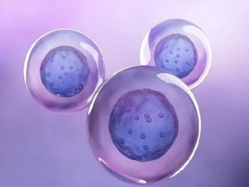 ���Ӳ�Բ������������������ˣ�