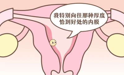 ʲô������Ĥ������̥�������Ŵ���