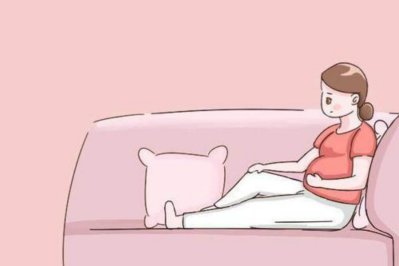 ��ֲ��û�κθо���������ʲô��